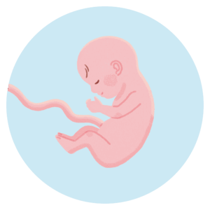 25Wテストこれは丸になる？